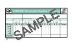 Strobe Structured Practice Scorecards -5to+5